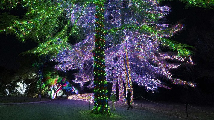 Dua pengunjung berjalan melewati pohon-pohon yang dihiasi lampu Natal di pertunjukan cahaya Holiday Road di Calabasas, California, (AP/Jae C. Hong) Dua pengunjung berjalan melewati pohon-pohon yang dihiasi lampu Natal di pertunjukan cahaya Holiday Road di Calabasas, California, (AP/Jae C. Hong)