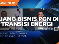 Haryo Yunianto & Peluang Bisnis PGN di Era Transisi Energi