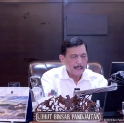 Luhut Bertemu dengan Mendag Jepang, Bahas Batu Bara?