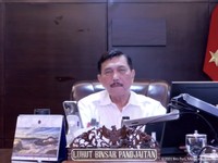 'Jurus' Luhut Tangkal Omicron: Mikro Lockdown!