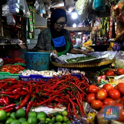 Pak Jokowi Tolong.. Harga Telur Naik 54%, Cabe Meroket 120%!