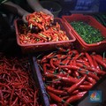 Ini Cara Pemerintah Biar Harga Cabai Tidak Melambung