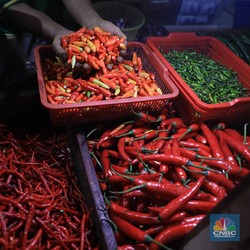 Harga Ayam, Telur, Gula, Naik Semua! Cabe Paling Parah...