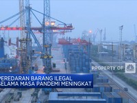 Selama Pandemi Peredaran Barang Ilegal Meningkat
