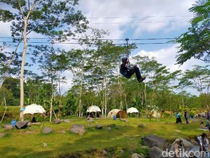 Outing Tetap Relevan di Era AI, Banyak Perusahaan Gelar Team Building