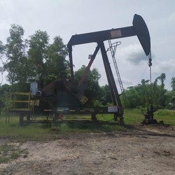 Keruk Minyak Bumi RI, Warga Bisa Hasilkan Belasan Ribu Barel