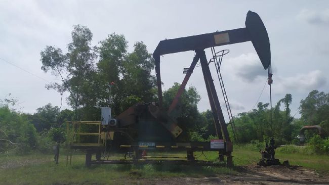Keruk Minyak Bumi RI, Warga Bisa Hasilkan Belasan Ribu Barel