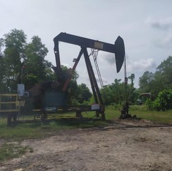 Bos PHE Blak-blakan Kendala Utama Ngebor Minyak di Darat