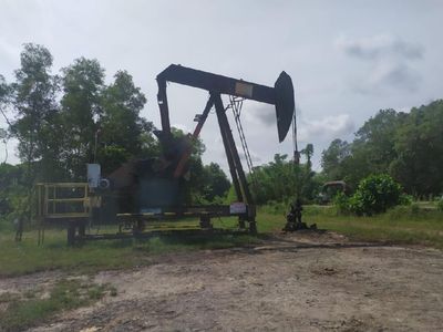 Syarat & Kriteria Koperasi, UMKM yang Bisa Garap Sumur Minyak Rakyat