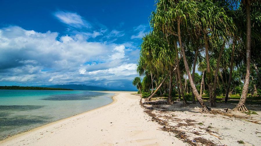 foto/ peta bougainville satu / Tangkapan Layar: Reuters