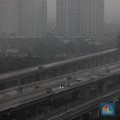 Bukan Investor Timur Tengah, Tapi Salim yang Akuisisi MBZ