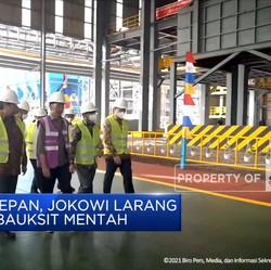 Tahun Depan, Jokowi Larang Ekspor Bauksit Mentah