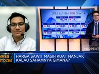 Harga Sawit Masih Kuat Nanjak, Kalau Sahamnya Gimana?