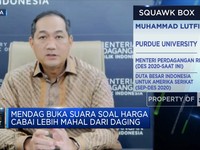 Mendag Buka Suara Soal Harga Cabai Lebih Mahal dari Daging