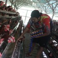 Peternak memanen telur ayam di salah satu peternakan di kawasan Gunung Sindur, Bogor, Jawa Barat, Rabu (28/12/2021). Menjelang akhir tahun mayoritas harga bahan pokok merangkak naik secara signifikan.  (CNBC Indonesia/Andrean Kristianto)