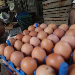 Jangan Baper ya Bunda! Harga Telur Ada yang Tembus Rp 50 Ribu