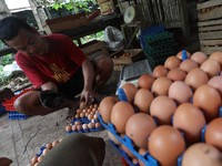 Masih Mahal, Emak-emak Kurangi Beli Telur