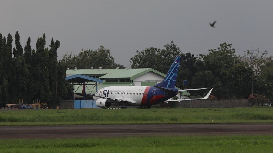 Sebuah pesawat parkir di Apron Bandara Pondok Cabe, Pamulang, Tangerang Selatan, Banten, Rabu (29/12/2021). (CNBC Indonesia/Andrean Kristianto)