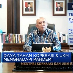 Teten Masduki & Sederet Indikasi Perbaikan Bisnis UMKM