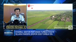 3 Program Kementan Sukseskan Proyek Food Estate