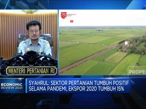 3 Program Kementan Sukseskan Proyek Food Estate