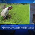 Menguji Capaian Sektor Pertanian Hadapi Pandemi