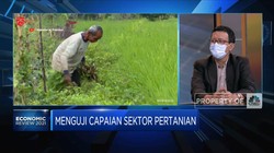 Menguji Capaian Sektor Pertanian Hadapi Pandemi