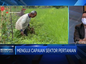 Menguji Capaian Sektor Pertanian Hadapi Pandemi