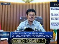 Syahrul Yasin Limpo & Capaian Sektor Pertanian Hadapi Pandemi
