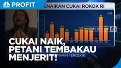 Cukai Naik, Petani Tembakau Menjerit!