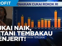 Cukai Naik, Petani Tembakau Menjerit!