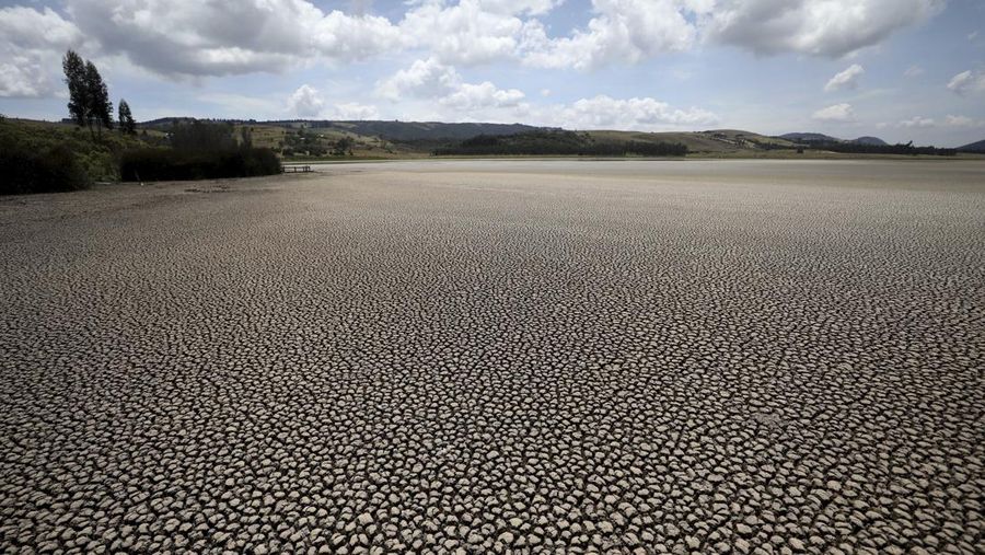 Retakan lumpur membentang di area yang dulunya tertutup oleh perairan laguna Suesca, di Suesca, Kolombia (17/2/2021). Danau yang dulu dipenuhi ikan itu mengering karena efek perubahan iklim. (AP Photo/Fernando Vergara)