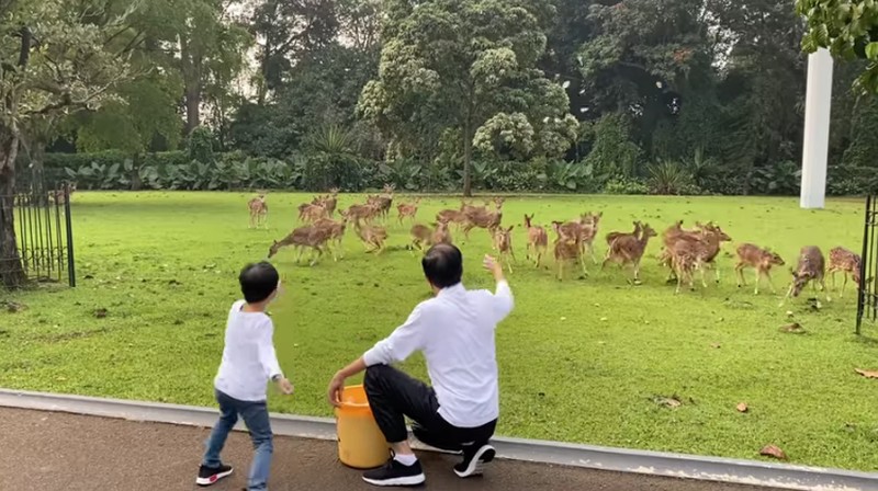 Momen Presiden Jokowi Bersama Jan Ethes dan Sedah Mirah di Awal Tahun 2022, Minggu (2/1/2022). (Tangkapan Layar via Youtube Sekretariat Presiden)