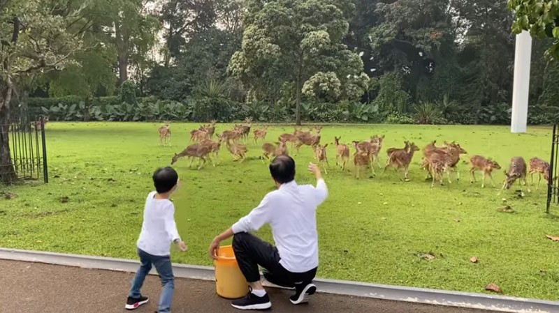 Momen Presiden Jokowi Bersama Jan Ethes dan Sedah Mirah di Awal Tahun 2022, Minggu (2/1/2022). (Tangkapan Layar via Youtube Sekretariat Presiden)