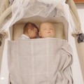 Gak Murah! Segini Harga Boneka Arwah yang Lagi Hits