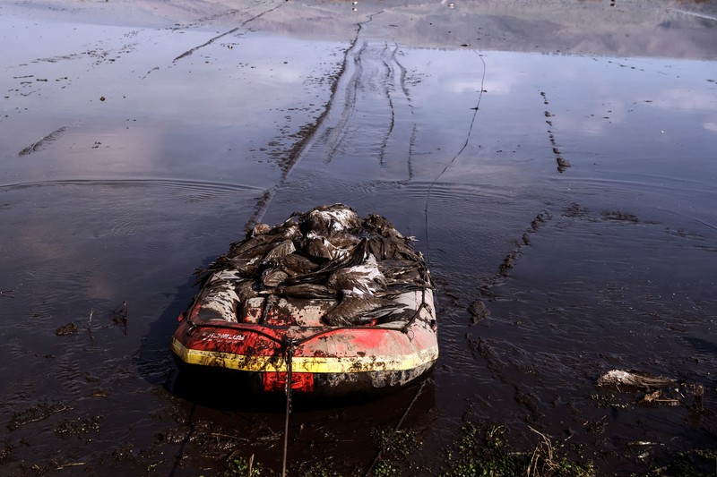 Pekerja dari Kementerian Pertanian dan Pembangunan Pedesaan memindahkan burung bangau yang mati menyusul wabah flu burung dari danau cagar alam, yang merupakan tujuan migrasi burung di Lembah Hula, Israel utara (2/1/2022). (REUTERS/Ronen Zvulun)