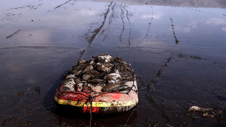 Pekerja dari Kementerian Pertanian dan Pembangunan Pedesaan memindahkan burung bangau yang mati menyusul wabah flu burung dari danau cagar alam, yang merupakan tujuan migrasi burung di Lembah Hula, Israel utara (2/1/2022). (REUTERS/Ronen Zvulun)