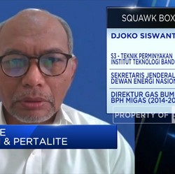 Goodbye Premium 2022? Ini Skenario dari DEN
