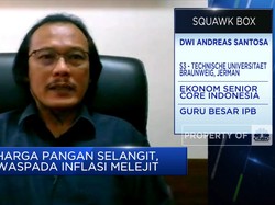 Ekonom: Lonjakan Harga Pangan Dorong Kesejahteraan Petani
