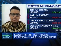 Ekspor Dilarang, Begini Nasib Saham Emiten Batu Bara
