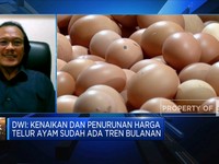 Harga Telur Hingga Minyak Goreng Tinggi, Ini Penyebabnya!