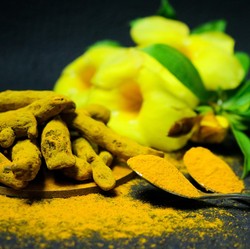 Terbukti Ilmiah, 9 Tanaman Herbal Ampuh Tingkatkan Kecerdasan Otak
