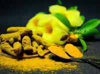 Terbukti Ilmiah, 9 Tanaman Herbal Ampuh Tingkatkan Kecerdasan Otak
