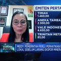 Fantastis! Permintaan Bijih Nikel Bakal Tembus 250 Juta Ton