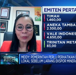 Fantastis! Permintaan Bijih Nikel Bakal Tembus 250 Juta Ton