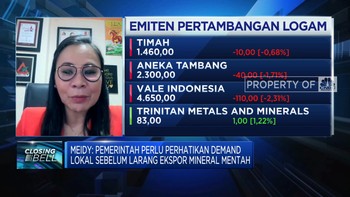 Ekspor Bahan Mentah Dilarang, Ini Kata Penambang!