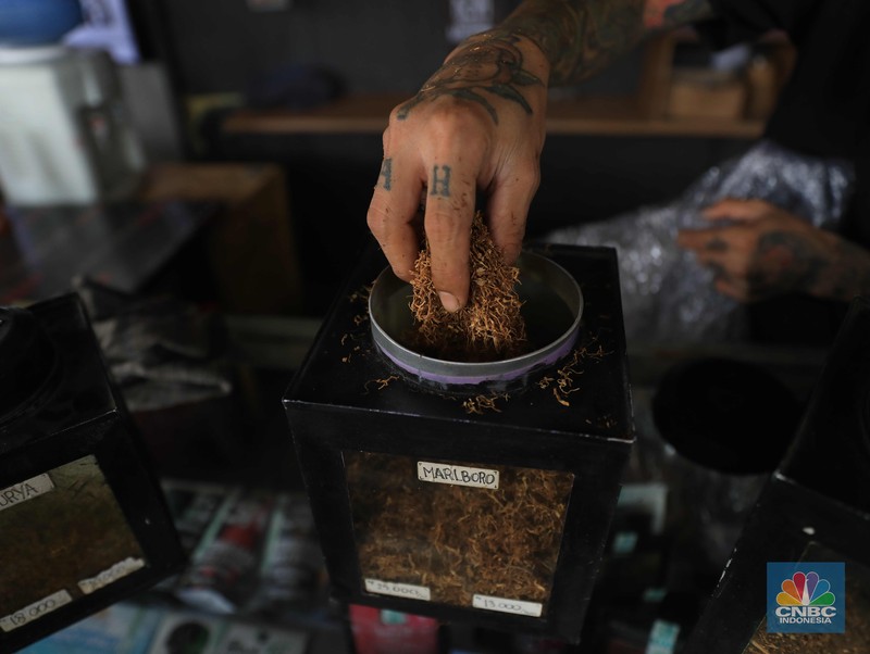 Rokok Tembakau Tingwe Noah penjual tembakau linting Kamarasa saat melayani pembeli di kawasan Pondok Cabe Pamulang, Selasa, 4 Januari 2022. Penjualan rokok linting kini semakin diminati masyarakat, tidak hanya kalangan tua, tetapi juga oleh anak muda. Geliat rokok linting atau linting dewe (tingwe) yang dianggap