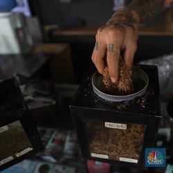 Warga RI Kompak Pilih Pindah ke Rokok Murah, Bea Cukai Lakukan Ini