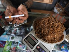 Produksi Rokok Melonjak 10%, Orang Stres Karena BBM Naik?