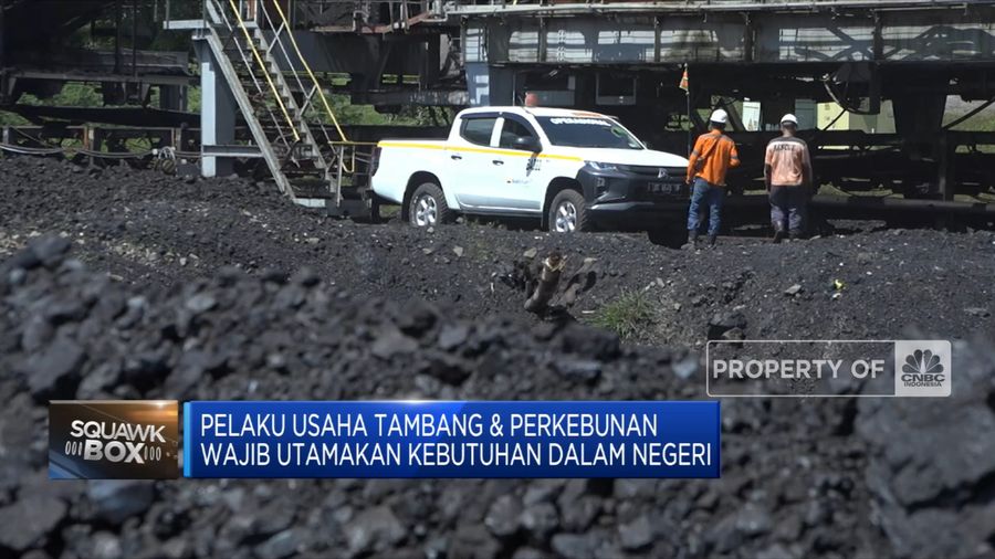 Tak Patuhi DMO, Jokowi Ancam Cabut Izin Usaha Batu Bara